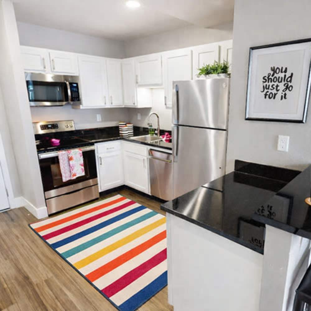 Bright kitchen featuring stainless steel appliances, granite countertops, and colorful striped rug at Flats on Fifth in Louisville, Kentucky