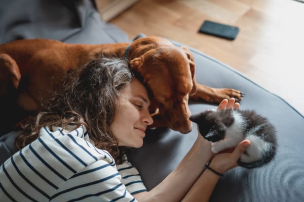 Woman snuggling with her dog and cat on the couch at The Iris at Northpointe in Lutz, Florida