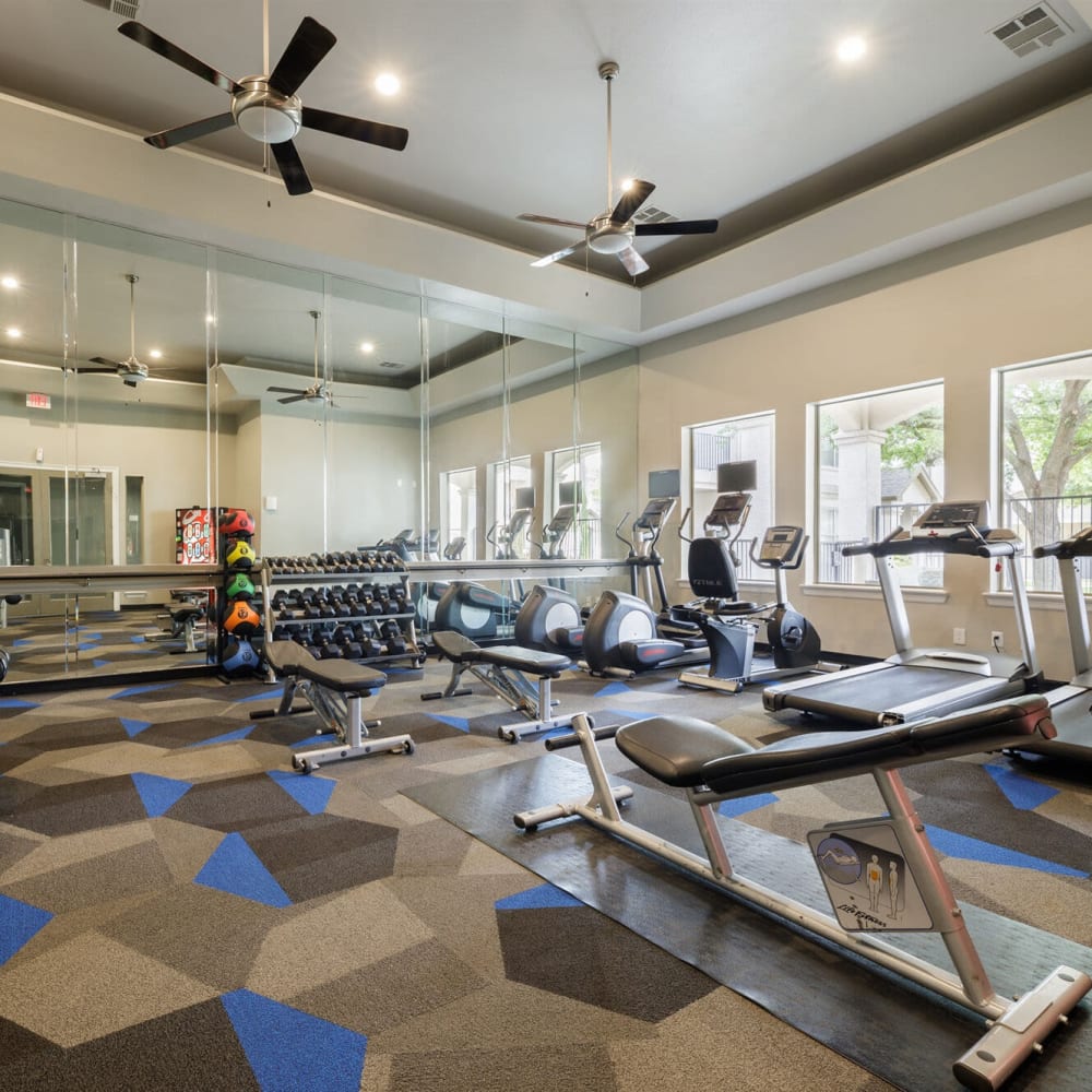 Gym area at Lakes At Lewisville in Lewisville, Texas 