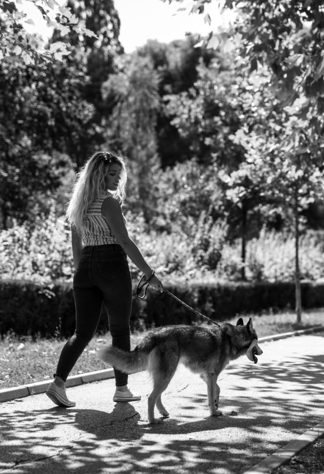 Resident walking their dog near Inscription Channel District in Tampa, Florida