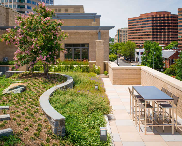 Great rooftop landscaping at 2001 Clarendon BLVD in Arlington, Virginia