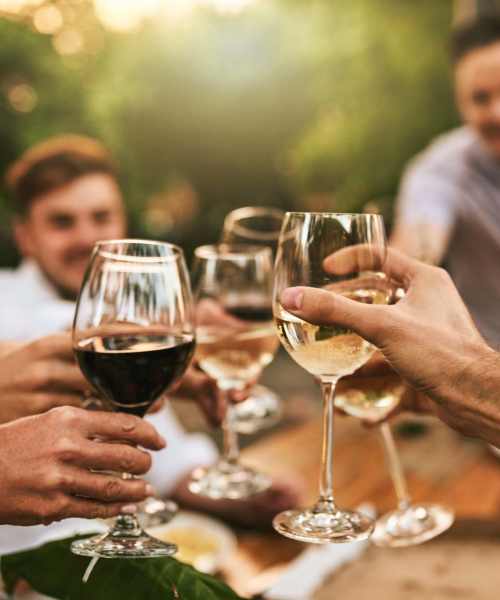 A group of friends toasting their glasses at Earle Residences in Chicago, Illinois