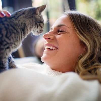 Link to view the pet policy of Tahoma Valley Apartments in Seattle, Washington