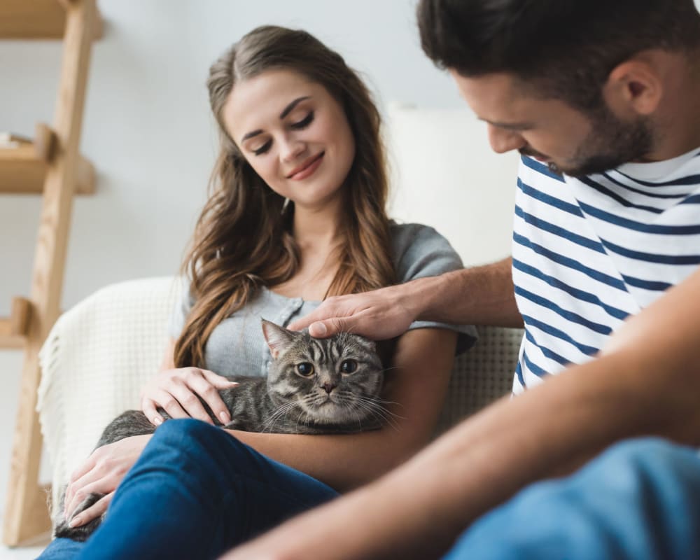 Residents petting their cat at Griswold Gardens in Glastonbury, Connecticut