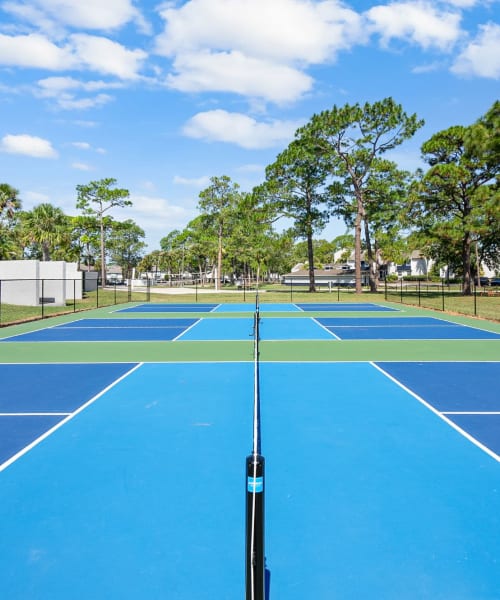 Volleyball court at Park Avenue in Jacksonville, Florida