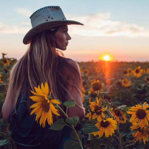 A person wearing a wide-brim hat stands in a sunflower field at sunset, facing the horizon near The Bammel in Houston, Texas