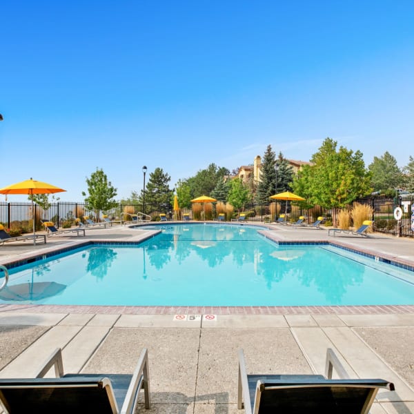 Pool at Montebello at Summit Ridge in Reno, Nevada