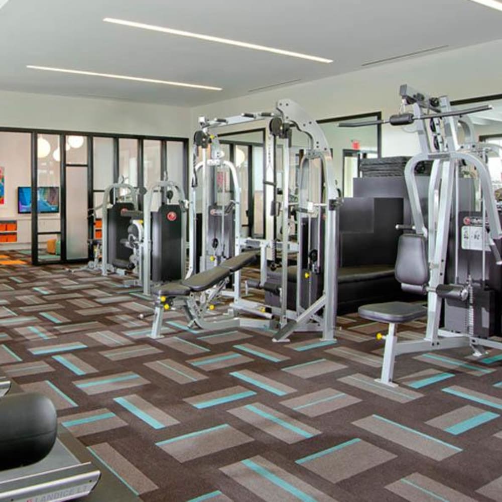 Full sized fitness area with tons of equipment to get a solid work out in at The Morgan in Chesapeake, Virginia