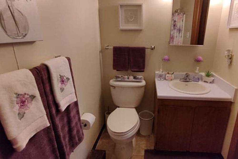 Cozy bathroom with floral towels, sink with countertop, and decorative accents at Spencer Village in Eldersburg, Maryland