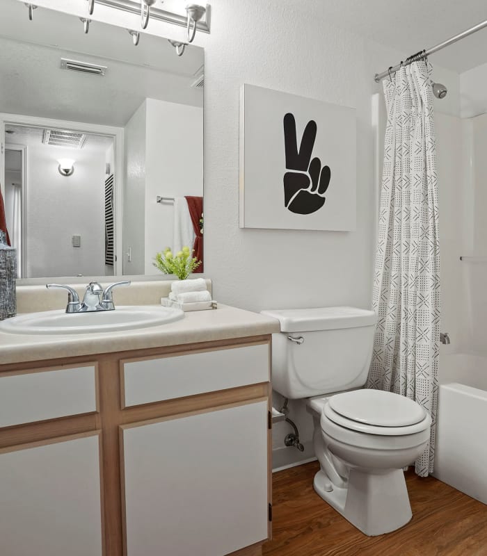 Bathroom at Acacia Park Apartments in El Paso, Texas