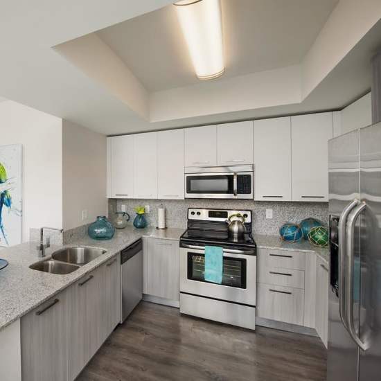 High-end finishing kitchen with stainless-steel appliances at Grove Station Tower in Miami, Florida