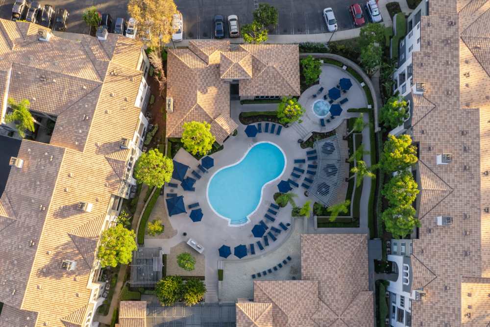 Aerial view of the pool and sundeck at Alize at Aliso Viejo Apartment Homes in Aliso Viejo, California