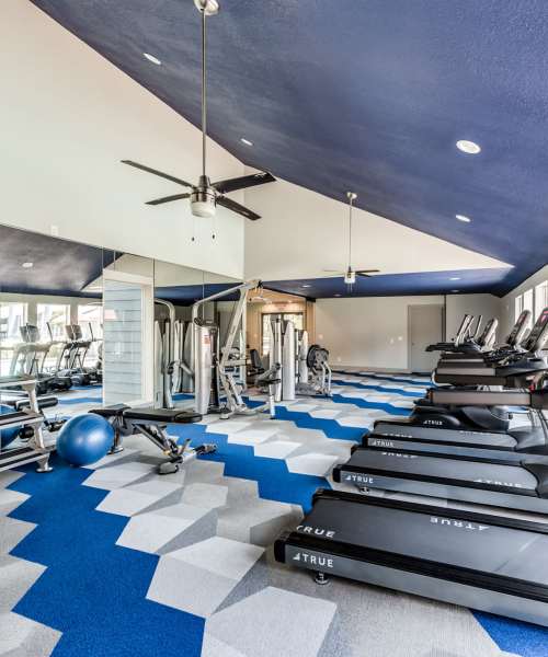 gym at Warwick at Westchase in Houston, Texas