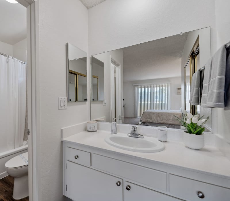  A bright bathroom with white cabinetry at The Promenade in Van Nuys, California