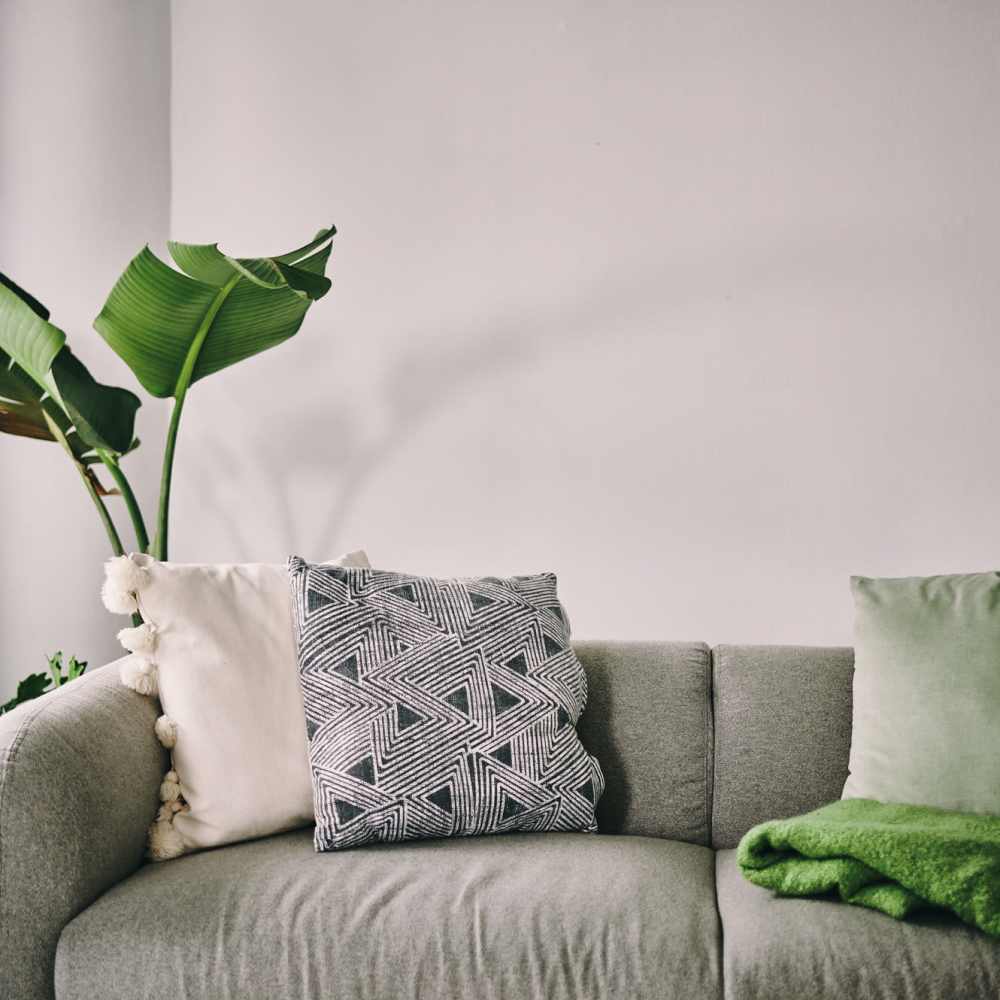 Living room with gray sofa with decorative pillows and plants at Atrium Gardens in Arlington, Texas