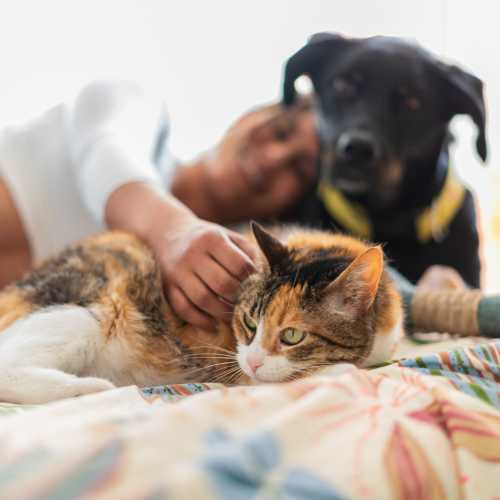 Resident with her pets at One Belmar Place in Lakewood,Colorado