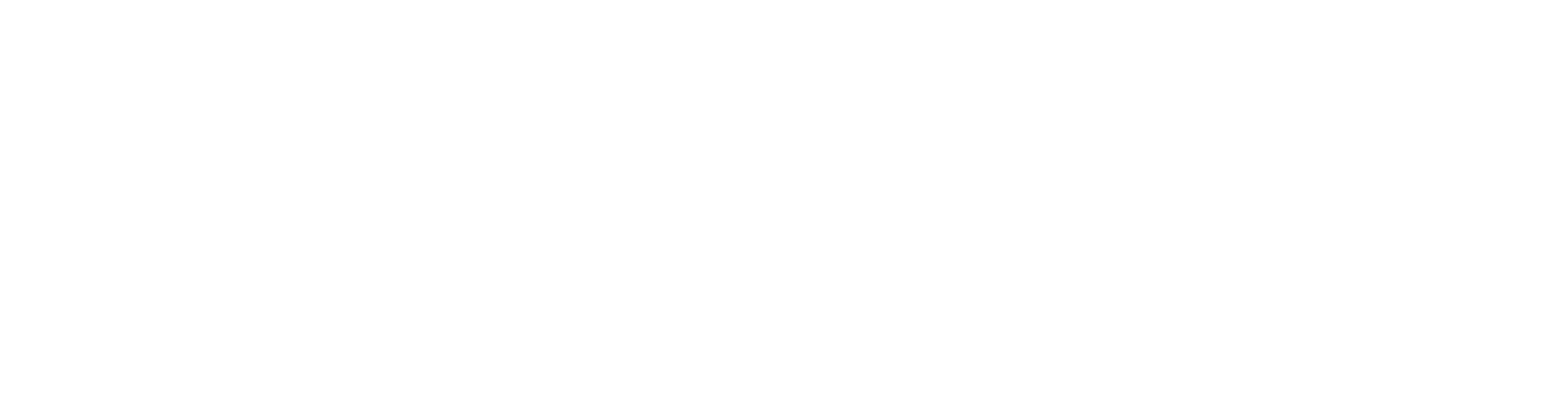 Stone Mountain Properties