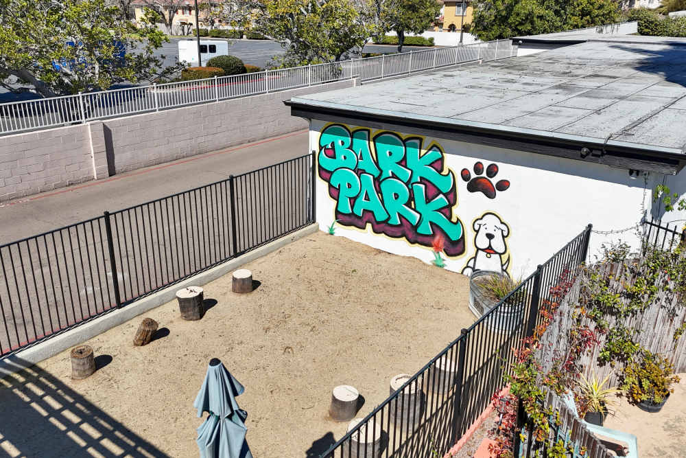 Image of Dog Park
