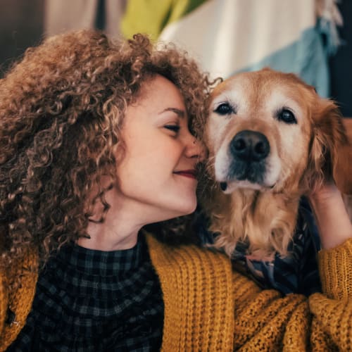 Pet friendly at Lyford Apartments in Tiburon, California