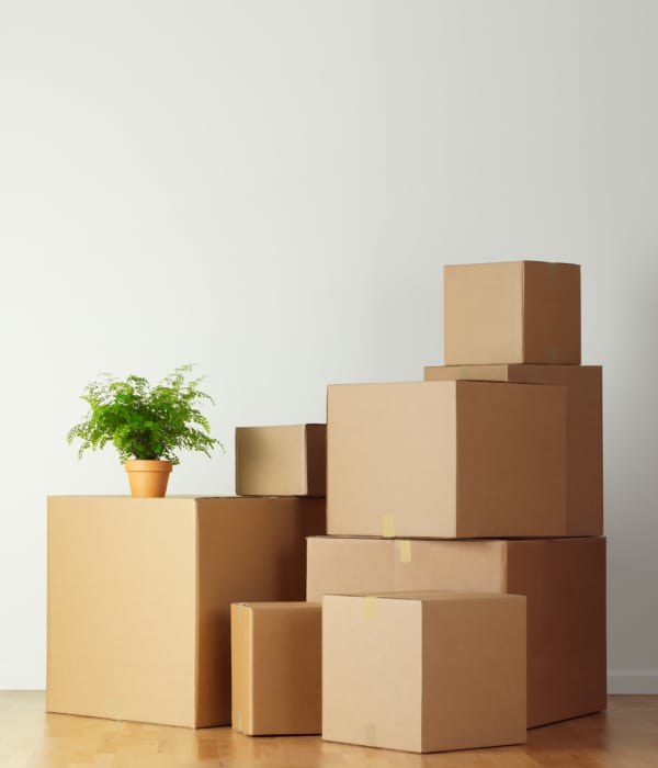 Moving packages at Storage Hub - Military in San Antonio, Texas