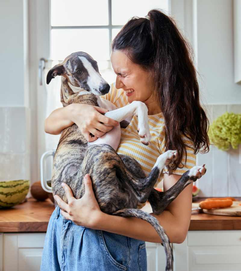 Woman smiling while holding a dog in a bright kitchen with wooden countertops at Dohr Apartments in Rochester, New York