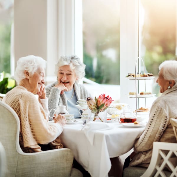 Resident friends dining at Pacifica Senior Living Sterling in Sterling, Virginia.