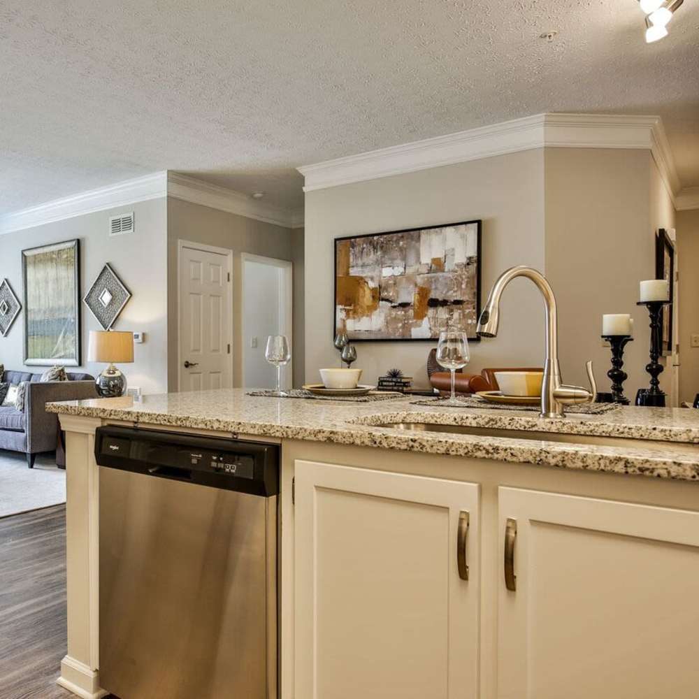 Model kitchen with dishwasher at Avonlea Highlands in Cartersville, Georgia