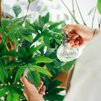 Resident watering one of her thriving plants on the private balcony outside her apartment at Adams Crossing in Waldorf, Maryland