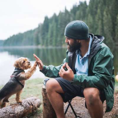 Link to pet policy of The Woodlands Townhome Apartments in Snoqualmie, Washington