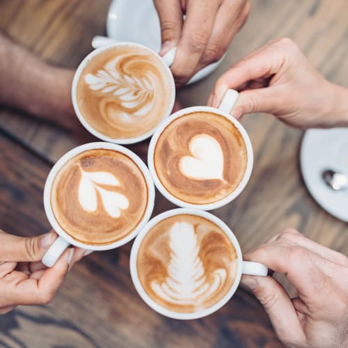Four friends holding lattes near Mosby Steele Creek in Charlotte, North Carolina