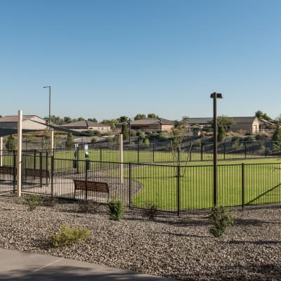 Onsite dog park for all the resident dogs to play in at BB Living in Scottsdale, Arizona