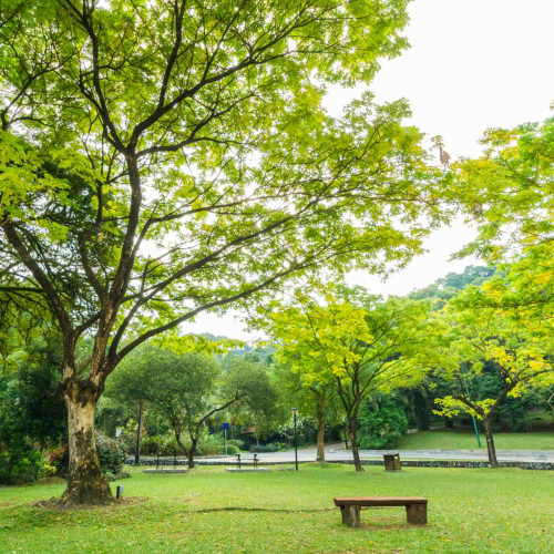 Green park near Heathermoor II in Weirton, West Virginia