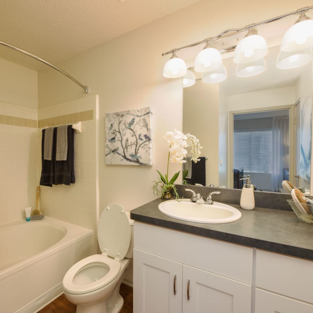 Bathroom at Butternut Ridge Apartments in North Olmsted, Ohio