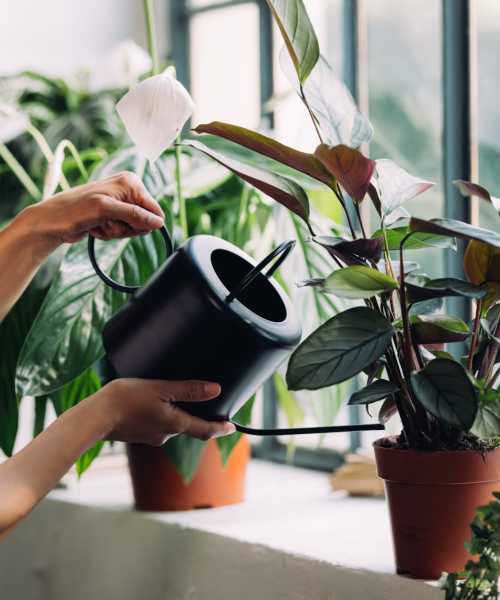 Resident watering plants at her balcony near 2202 Luann Place Apartments in Madison, Wisconsin
