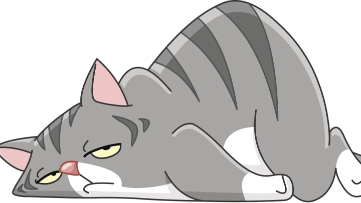 A gray cartoon cat lies on his stomach