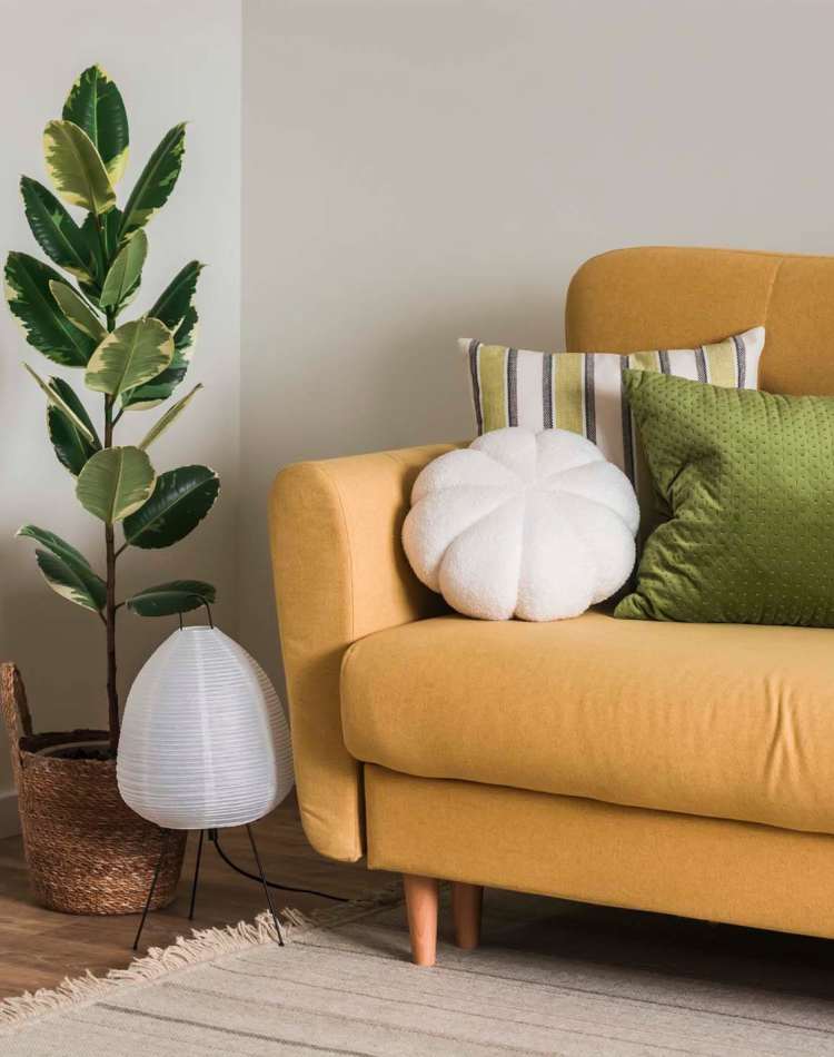 Apartment Features at Alta De Sabla in San Mateo, California