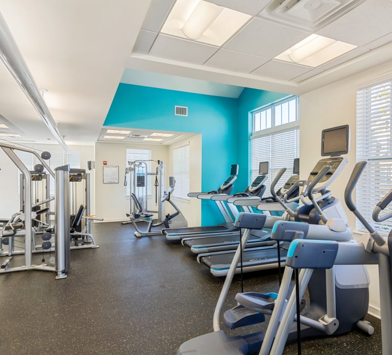 Gym with cardio equipment at Cottage Trails at Culpepper Landing in Chesapeake, Virginia