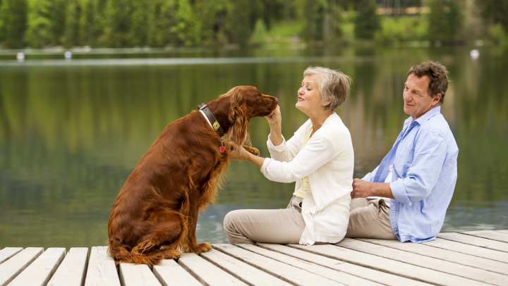 Couple sitting on a doc with their dog