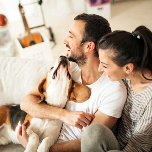 Happy family with their dog at Oak Hill in Escondido, California