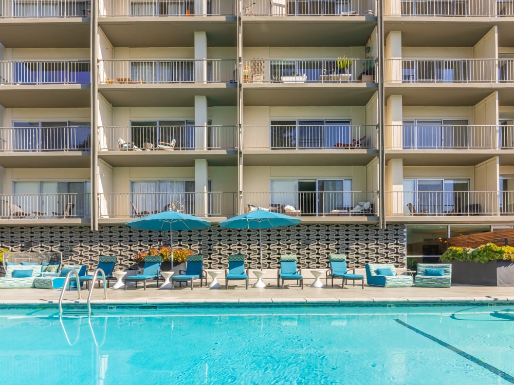 Swimming pool area with mature trees nearby at Mia in Palo Alto, California