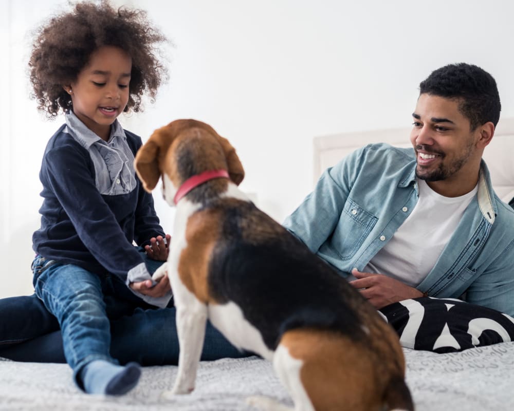 A father and child playing with a dog at Heroes Manor in Camp Lejeune, North Carolina