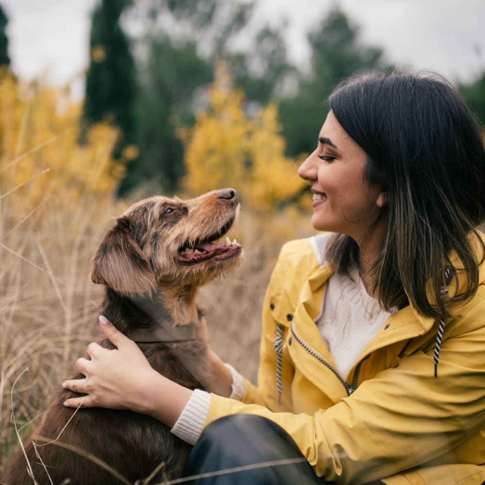 Resident petting their dog near Veridian in Cincinnati, Ohio