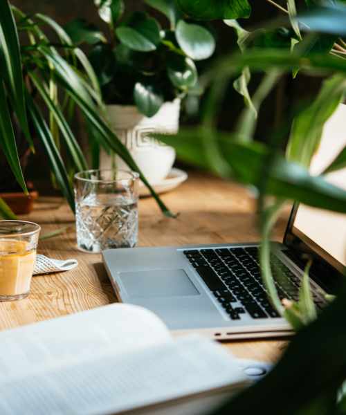 Laptop on wooden table surrounded by plants at Zacharys Crossing in Washington Court House, Ohio