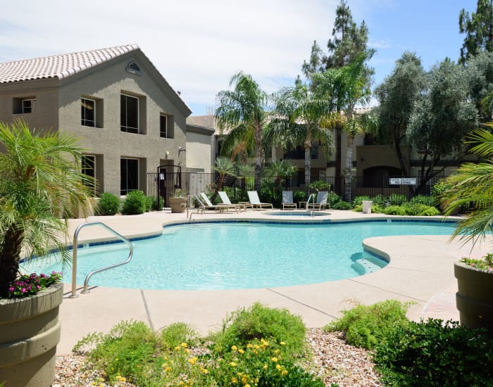Beautiful swimming pool area at Lumiere Chandler in Chandler, Arizona