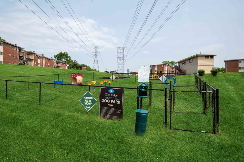 Fenced dog park with agility equipment