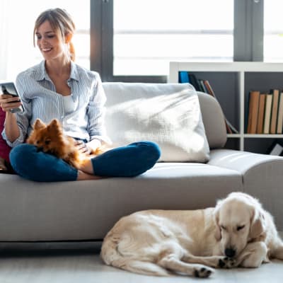 resident hanging out with their dogs at Bellevue in Washington, District of Columbia