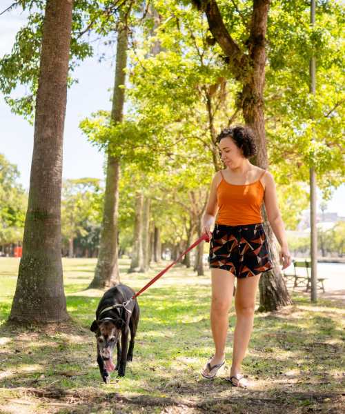 Pet-friendly apartment home at Brookside Commons in Meadville, Pennsylvania 