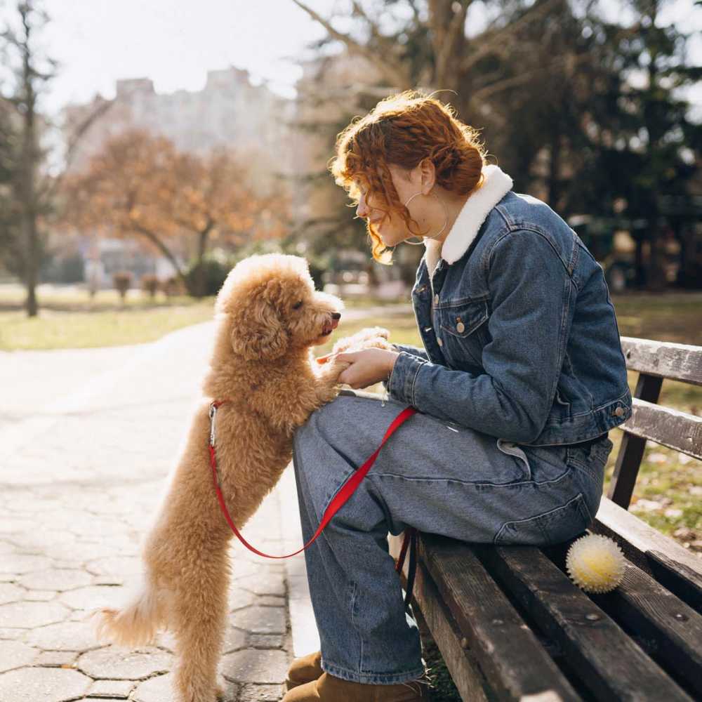 Woman and fluffy dog enjoying a sunny day in the park at Cedar Glen Apartments in Cross Plains, Wisconsin