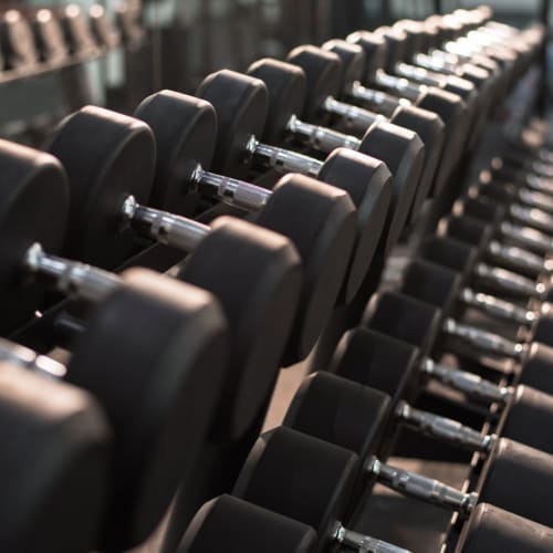 Weights in the fitness center at Prairie Pointe Student Living in Ankeny, Iowa