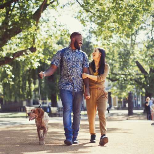 Couple walking with their pet dog in the park near 511 Queens in Charlotte, North Carolina